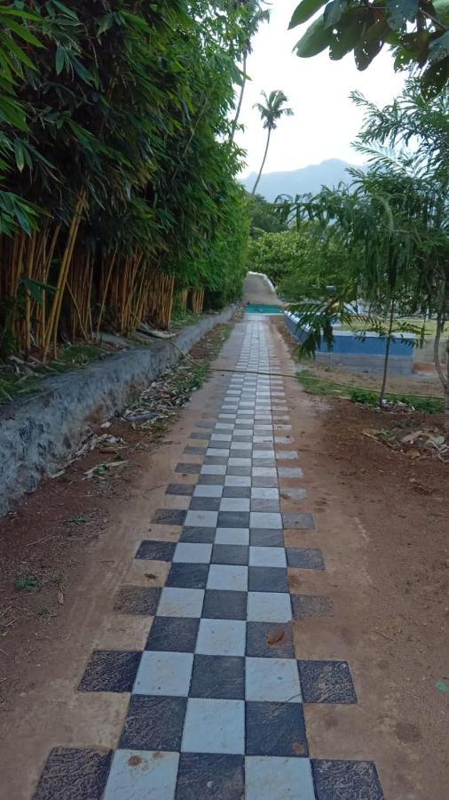 Serene Blossom Valley Tenkasi Extérieur photo