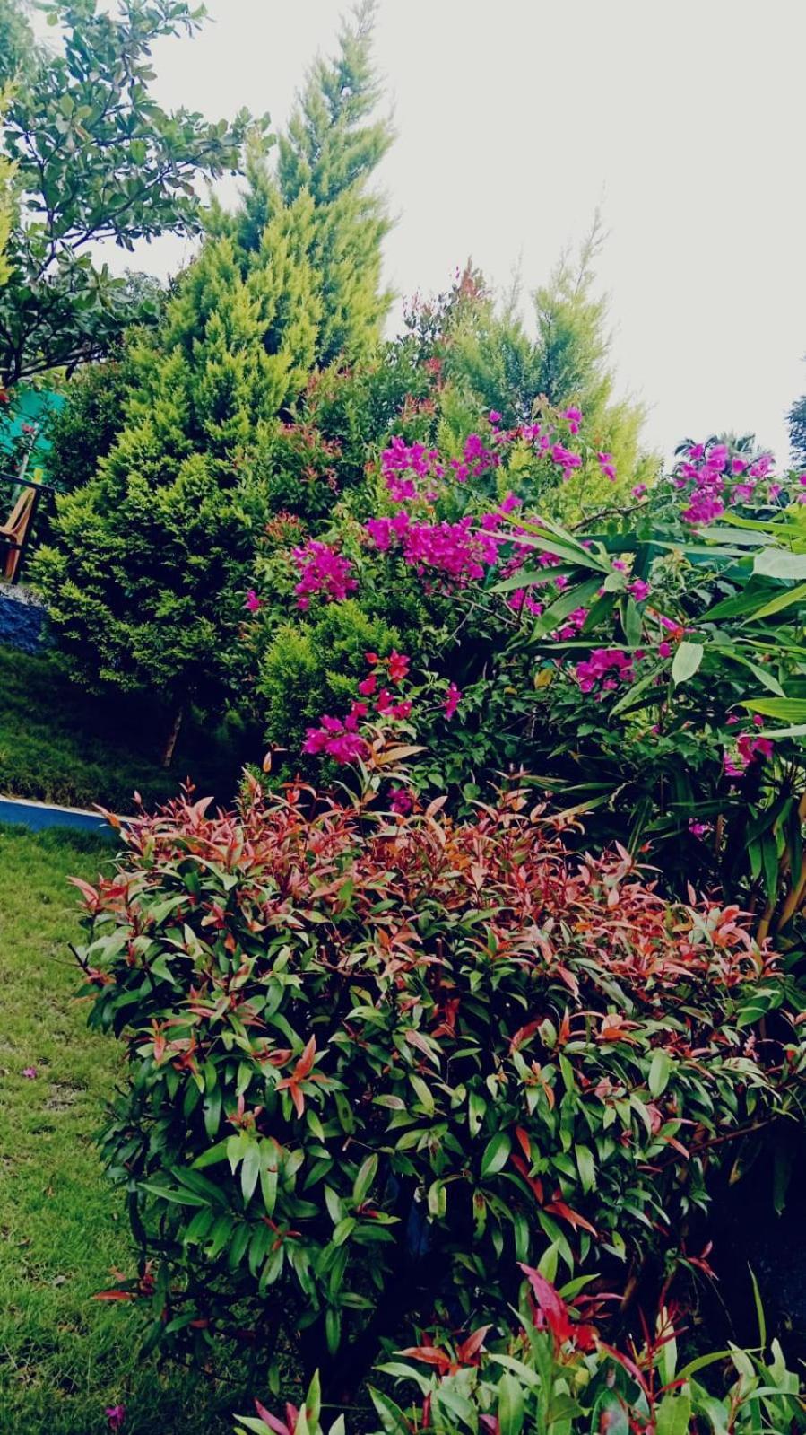 Serene Blossom Valley Tenkasi Extérieur photo
